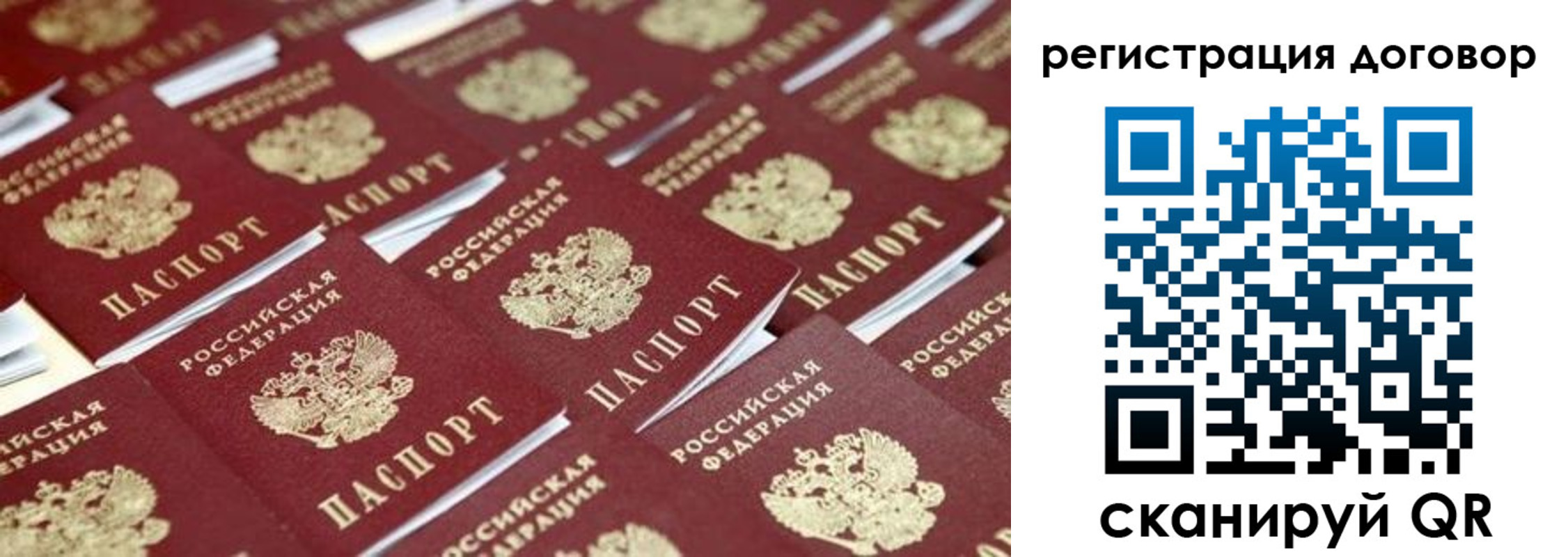 где прописаться в Ртищево
